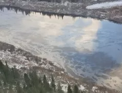 ЛАРН